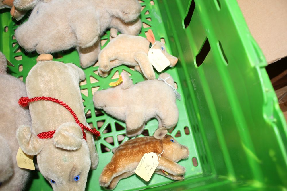 A group of assorted soft toy pigs including Steiff